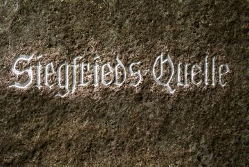 800 Jahre Nibelungenlied:  Jubelfeiern und Spurensuche 
Love-Story mit Hindernissen

Siegfrieds-Quelle.
